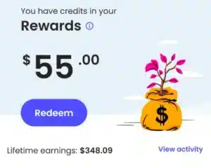 Rewards Summary / Image Credits: super.com